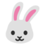 🐰 🐰