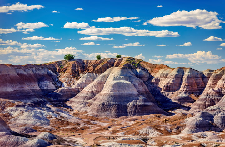 Der Petrified Forest National Park