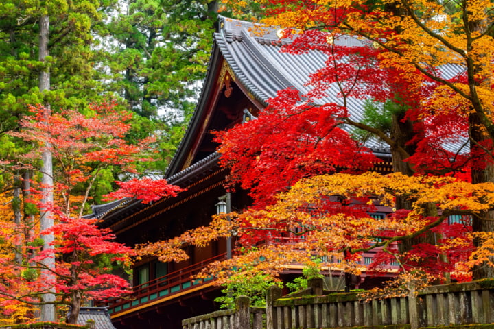 Nikko Toshogu Tempel in Japan