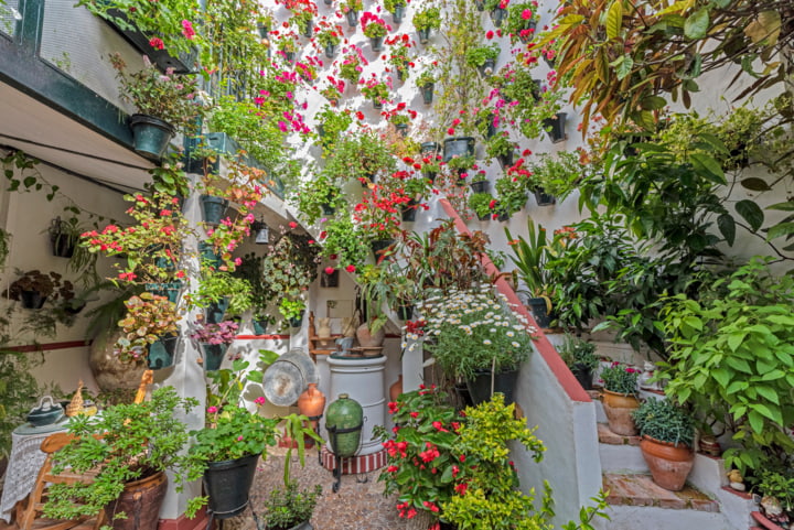 Ein Patio mit Blumen-Oase