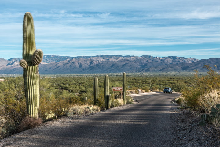 Strasse im Saguaro Nationalpark