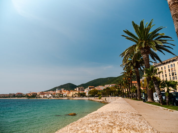 Palmengesäumte Uferpromenade in Ajaccio