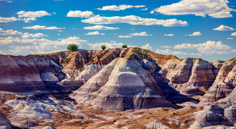 Canyon de Chelly & Holbrook