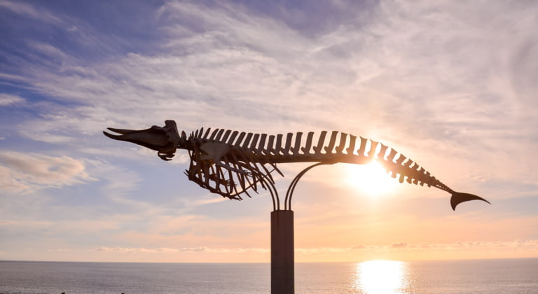 Erkundungstour nach Jandía