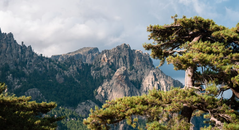 Bonifacio → Bavella-Pass → Zonza