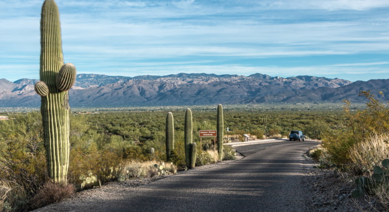 Tucson & Saguaro Nationalpark